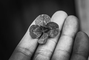 đăng nhập page F8bet